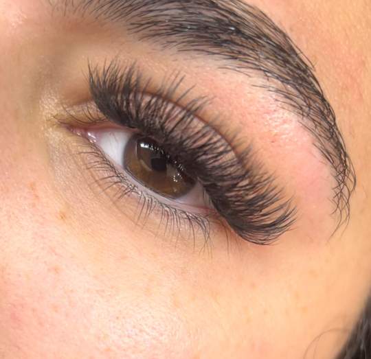 lashes (2)